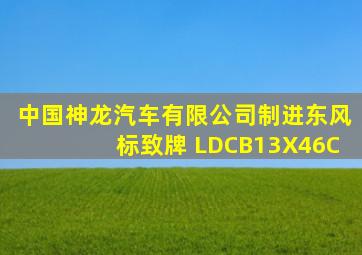 中国神龙汽车有限公司制进东风标致牌 LDCB13X46C